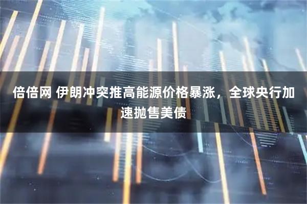 倍倍网 伊朗冲突推高能源价格暴涨,全球央行加速抛售美债