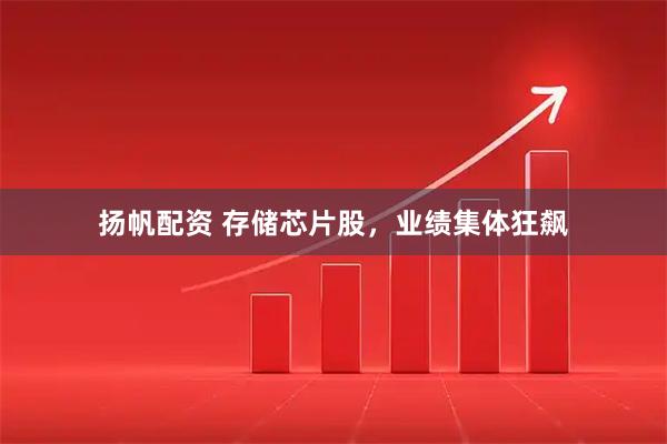 扬帆配资 存储芯片股，业绩集体狂飙